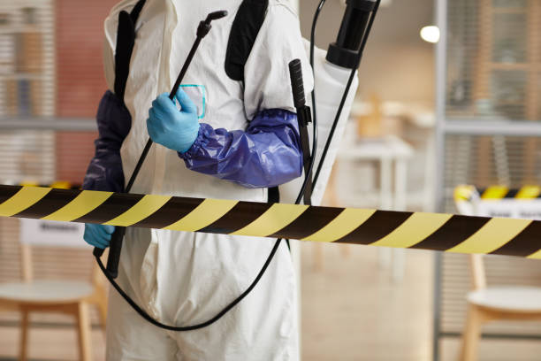 Professional Blood Cleanup technician working in Eastport, ME